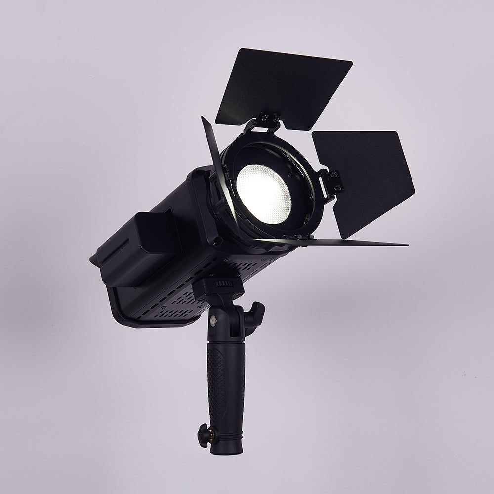 FL - 60S LED Fresnal Light Daylight - tolifo led light