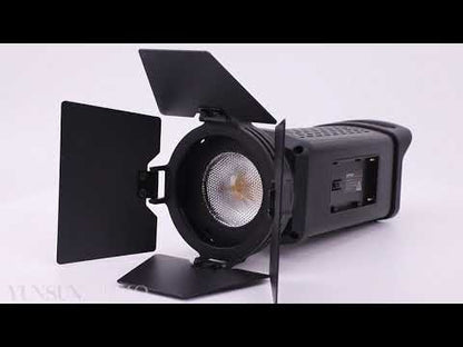 FL-60S LED Fresnal Light Daylight