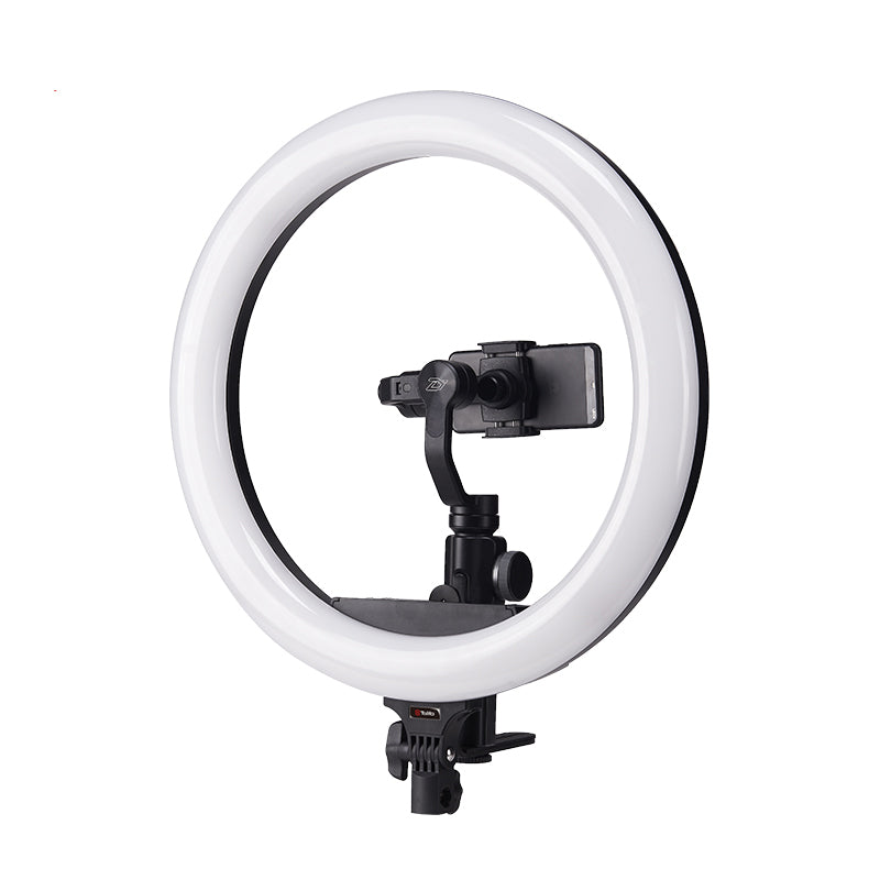 Buy Bonnlo Ring Light with stand, Camera Photo Video Lighting Kt: Dimmable  3200/5600K LED Ring Light with Hot Adapter, Phone Holder for Youtube Makeup  Phone Camera Video Shooting(with Carry Bag) Online at